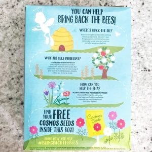 Gardening Indoors with Seeds: Bring Back the Bees
