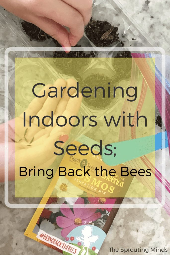 Gardening Indoors with Seeds: Bring Back the Bees