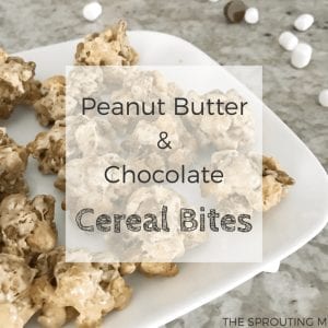 Peanut Butter & Chocolate Cereal Bites