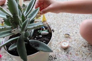 How to Create a Kid-Friendly Succulent Garden