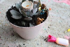 How to Create a Kid-Friendly Succulent Garden