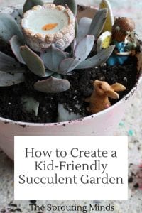 How to Create a Kid-Friendly Succulent Garden