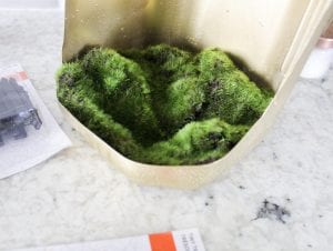 DIY Halloween Diorama
