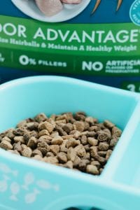 28-Day Challenge with Purina ONE