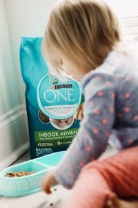 28-Day Challenge with Purina ONE