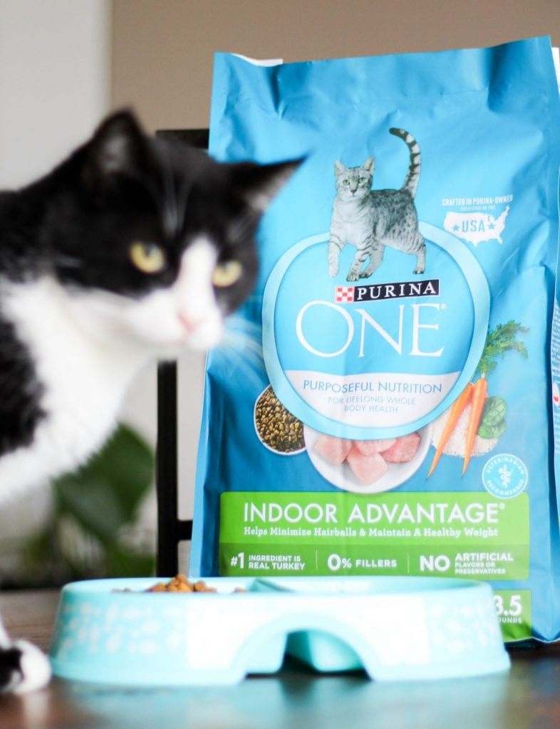 28-Day Challenge with Purina ONE