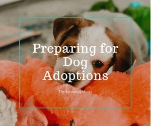 dog adoptions