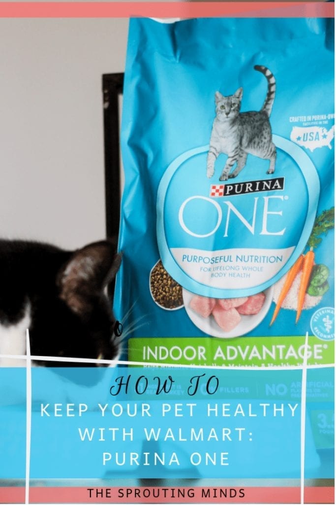28-Day Challenge with Purina ONE