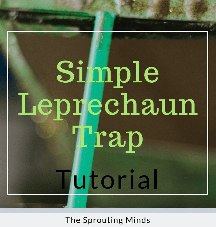 St. Patrick's Day Leprechaun Trap