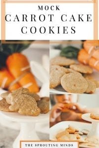 Mock Carrot Cake Cookies
