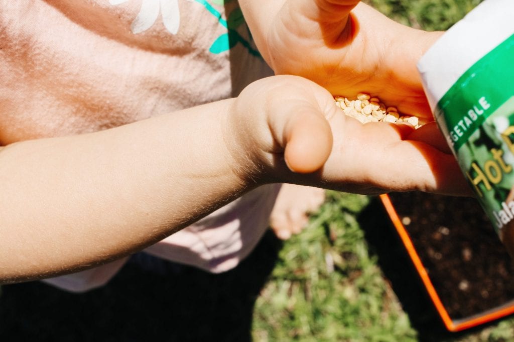 Planting Seeds with Kids-Earth Day