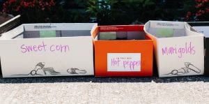 Planting Seeds with Kids-Earth Day