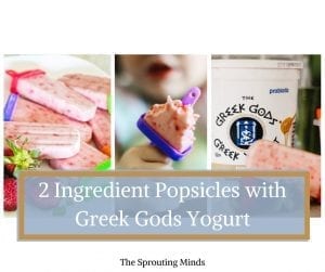 Greek Gods Yogurt Popsicles