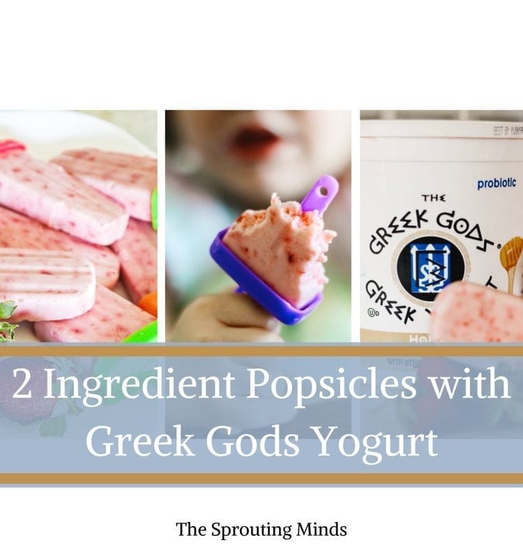 Greek Gods Yogurt Popsicles