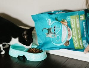 Purina ONE 28 Challenge: Beyond the 28 Days