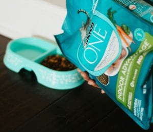 Purina ONE 28 Challenge: Beyond the 28 Days
