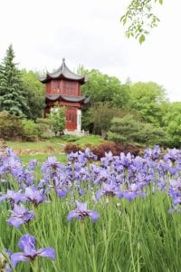Montreal Botanical Garden