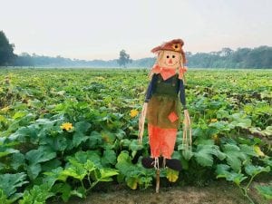 Halloween Bucket List