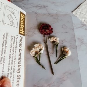 Pressed flowers on self seal laminating paper