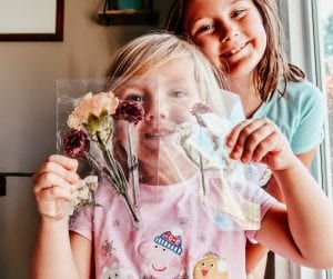 Pressed Flowers Craft