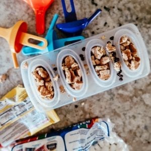 s'mores popsicle recipe