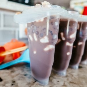 s'mores popsicles in popsicle mold