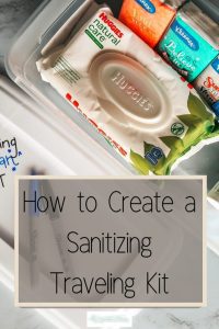 Easy Sanitizing Traveling Kit (2)