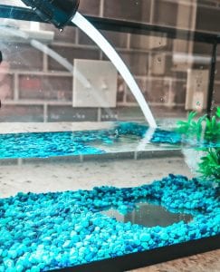 Adding water to aquarium