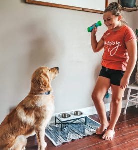 Playing Catch with your family dog