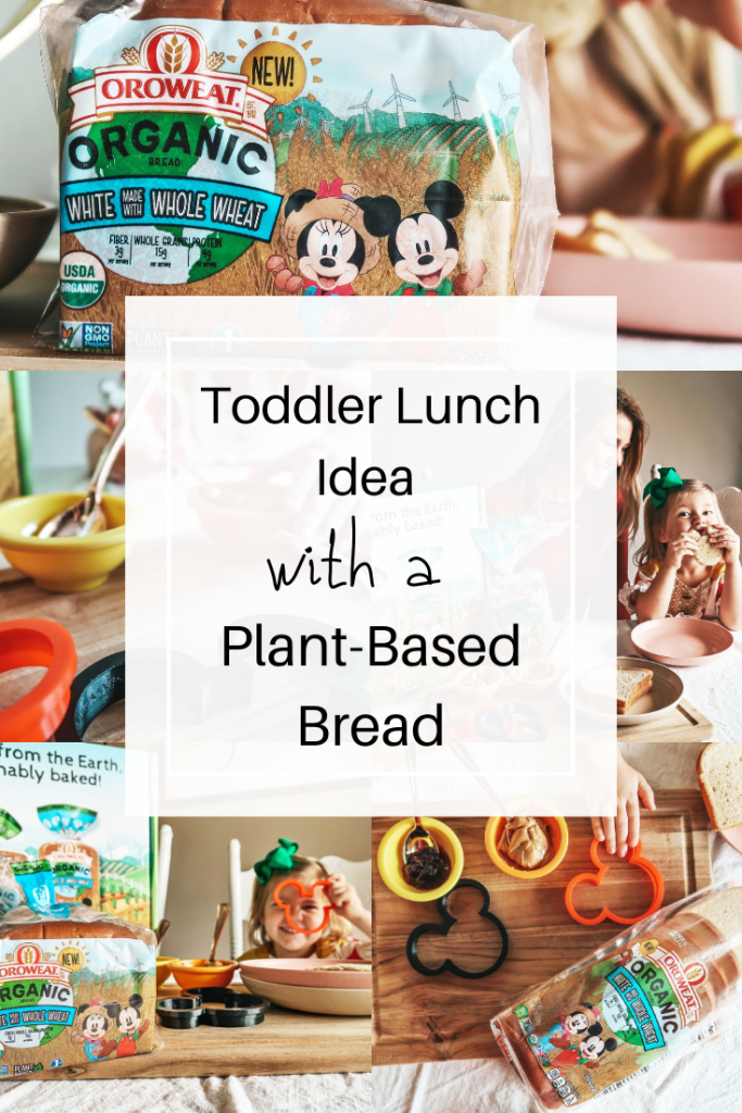 Toddler Lunch Idea with a Plant-Based Bread Oroweat