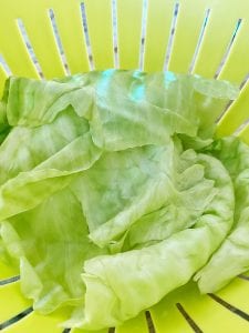 Prepping the cabbage
