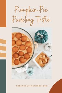 Pumpkin Pie Pudding Trifle Recipe