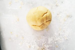pasta dough ball