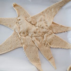 Making a star shape out of the crescent rolls