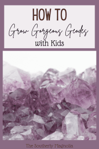 how to grow gorgeous geodes with kids